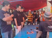 Blusukan, Paslon “DIGASKAN” Komitmen Bangun Konsep Mederen di Pasar Pambusuang