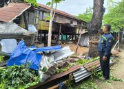 Polsek Polewali Datangi TKP, 3 Rumah Rusak Tertimpa Pohon Tumbang Akibat Angin Kencang