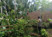 Bhabinkamtibmas Polsek Polewali Mendatangi TKP Pohon Tumbang Menimpa Rumah Warga