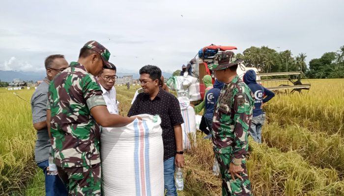 Dandim 1402 Polman Tinjau Langsung Panen Padi, Pastikan Harga Gabah Sesuai HPP