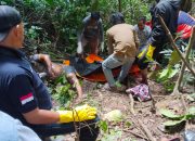 Penemuan Mayat di Desa Pussui, Aparat Gabungan Polres Polman Turun ke TKP