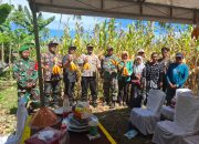 Kapolres Polman Hadiri Panen Raya Jagung Serentak Kuartal II Tahun 2025, Terhubung Langsung Secara Daring dengan Presiden RI