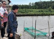 Tim Ahli Gubernur Sulbar Tinjau Transmigrasi Tanjung China, Dorong Pengembangan Tambak dan Pemberdayaan Ekonomi Pesisir