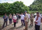 Gubernur SDK Sampaikan ke Menteri Transmigrasi: Sulbar Siap Jadi Pusat Pertumbuhan Ekonomi Berbasis Transmigrasi