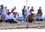 Gubernur Sulbar dan Mentan Amran Komitmen Kembangkan Bawang Merah di Majene