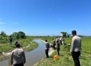 Penemuan Mayat Bayi Perempuan Gegerkan Warga Dusun Tulung Rejo, Polsek Wonomulyo Langsung Mendatangi TKP