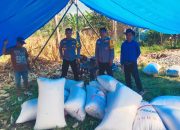 Polsek Matangnga Panen Jagung Bersama Warga Desa Tapua, Dukung Ketahanan Pangan