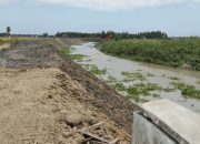 Proyek Normalisasi Saluran di Campalagian, Ancam 400 Hektar Sawah Gagal Panen, “Normalisasi Harus Dimulai dari Hilir”