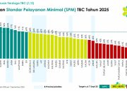 Sulawesi Barat Jawara Nasional Penanggulangan TBC 2025