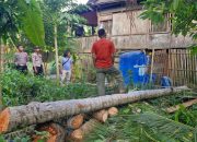 Pohon Kelapa Tumbang Timpa Rumah Warga di Tinambung, Polisi Turun ke Lokasi