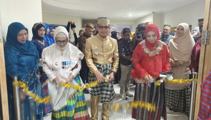 Tanpa Perlu Keluar Daerah Lagi! RSUD Hajjah Andi Depu Kini Miliki Fasilitas Cuci Darah dan Ruang Operasi Baru, Diresmikan Langsung Bupati Polman
