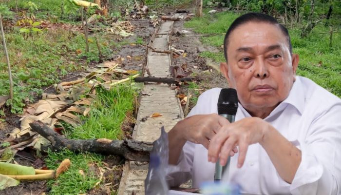 Wagub Sulbar Terlibat, Warga Antusias Bangun Jalan Kebun