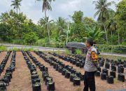 Bhabinkamtibmas Desa Karama Sambangi Lokasi P2B KWT Makmur, Dukung Ketahanan Pangan