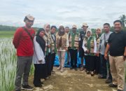 Dukung Visi Misi Gubernur SDK, DTPHP Sulbar Siap Bantu Petani Mapilli Bangkit dari Gagal Panen