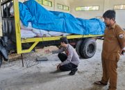 Dugaan Pencurian di Balai Benih Tanaman Pangan Rea Timur, Polsek Binuang Datangi TKP