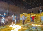 Bhabinkamtibmas Anreapi Dampingi Penjualan 5 Ton Jagung Petani ke Bulog