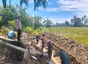 Bhabinkamtibmas Desa Nepo Monitoring Pembangunan Irigasi Dana Desa 2026