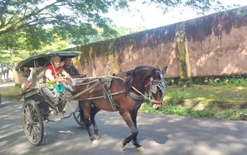 Kajari Polman Keliling Naik Bendi, Langkah Unik Dukung Pelestarian  Transportasi Lokal dan Wisata Daerah