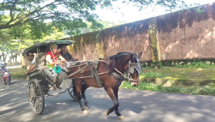 Kajari Polman Keliling Naik Bendi, Langkah Unik Dukung Pelestarian  Transportasi Lokal dan Wisata Daerah