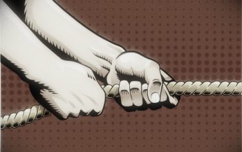 Seret Nama “R”, Dugaan Suap Percepatan Dapur MBG di Sulbar : Fakta vs Persepsi “Bisa Saja Ini Bagian Dinamika Politik”