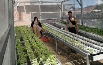 Bhabinkamtibmas Wonomulyo Sambangi KWT Sumberjo, Dukung Pengembangan Hidroponik