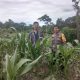Bhabinkamtibmas Desa Pollewani Monitoring Lahan Jagung Warga, Dukung Program Ketahanan Pangan