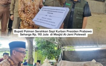 Bupati Polman Serahkan Sapi Kurban Presiden Prabowo Seharga Rp. 110 Juta  di Masjid Al-Jami Polewali