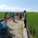 Bhabinkamtibmas Desa Sidorejo Monitoring Pembangunan Rabat Beton Dana Desa 2026