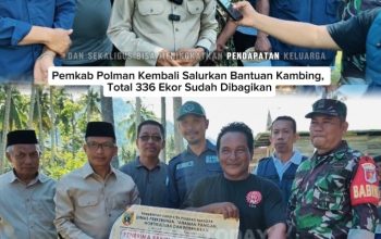 [VIDEO] Pemkab Polman Kembali Salurkan Bantuan Kambing, Total 336 Ekor Sudah Dibagikan, Bupati Hadiri Penyerahan di Mirring