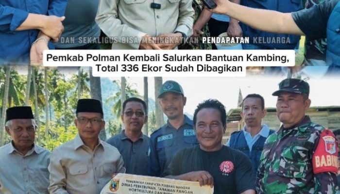 [VIDEO] Pemkab Polman Kembali Salurkan Bantuan Kambing, Total 336 Ekor Sudah Dibagikan, Bupati Hadiri Penyerahan di Mirring
