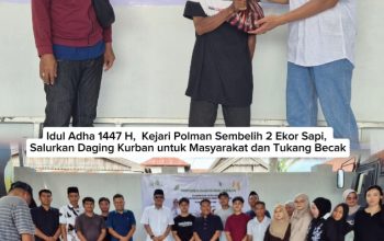 Idul Adha 1447 H,  Kejari Polman Sembelih 2 Ekor Sapi,  Bagikan Daging Kurban untuk Masyarakat dan Tukang Becak