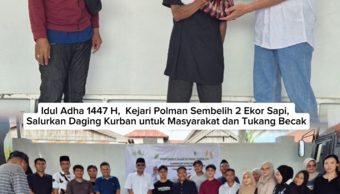 Idul Adha 1447 H,  Kejari Polman Sembelih 2 Ekor Sapi,  Bagikan Daging Kurban untuk Masyarakat dan Tukang Becak