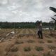 Bhabinkamtibmas Desa Tonyaman Monitoring Perkembangan Lahan Jagung Warga