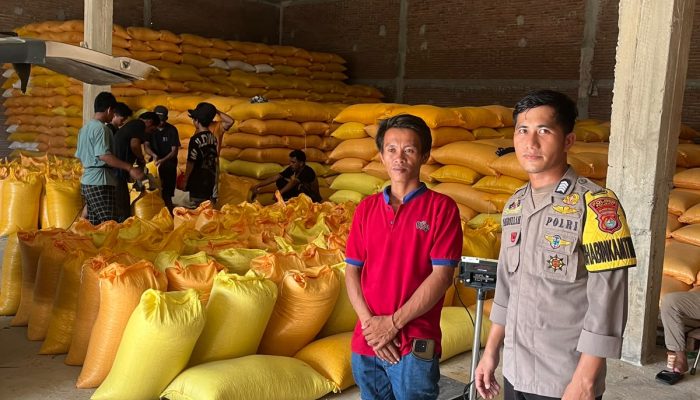 Bhabinkamtibmas Polsek Tutar Kawal Penjualan Jagung Petani ke BULOG