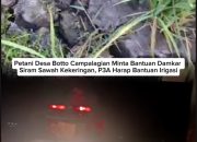 Petani Desa Botto Campalagian Minta Bantuan Damkar Siram Sawah Kekeringan, P3A Harap Bantuan Irigasi