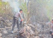 Aparat Gabungan Berhasil Kendalikan Kebakaran Lahan di Pulau Battoa, Polman