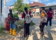 Bhabinkamtibmas Kelurahan Wattang Dampingi Kegiatan Fogging Cegah Penyebaran DBD