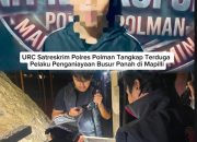 URC Satreskrim Polres Polman Tangkap Terduga Pelaku Penganiayaan Busur Panah di Mapilli