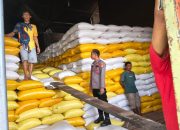 Bhabinkamtibmas Desa Tapua Dampingi Penjualan 1,5 Ton Jagung ke Bulog, Dukung Ketahanan Pangan Nasional