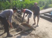Bhabinkamtibmas Desa Rappang Sambangi Warga Gotong Royong Rehabilitasi Masjid, Sampaikan Imbauan Kamtibmas