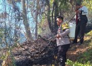 Polsubsektor Anreapi Gerak Cepat Tangani Kebakaran Lahan di Desa Pappandangan