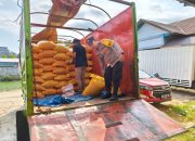 Bhabinkamtibmas Polsek Tutar Kawal Penjualan 3,5 Ton Jagung Petani ke Bulog