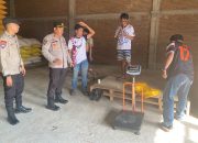 Polsek Campalagian Dampingi Petani Jual 4 Ton Jagung ke Bulog