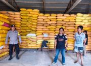 Didampingi Bhabinkamtibmas, Poktan Bina Karya Pasarkan 3,5 Ton Jagung ke Bulog