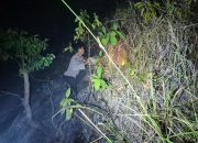 Polsek Tinambung Respons Cepat Kebakaran Lahan di Desa Napo, Api Berhasil Dipadamkan