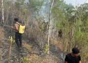 Polsek Tinambung Bersama Satgas Karhutla Polman Padamkan Kebakaran Lahan di Lingkungan Talolo