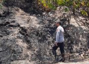 Api Membakar Lahan Kakao Warga di Tutar, Polsek Tutar Turun ke Lokasi