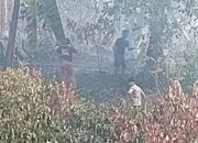 Kebakaran Lahan di Amassangan, Polisi dan Damkar Berjibaku Padamkan Api