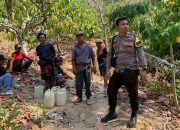 Polsek Allu Bersama Warga Padamkan Kebakaran Lahan Seluas 5 Hektare di Dusun Malio
