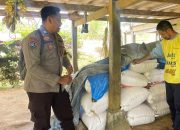 Bhabinkamtibmas Dampingi Petani Jual 2 Ton Jagung ke Bulog Polman, Dihargai Rp6.400 per Kg